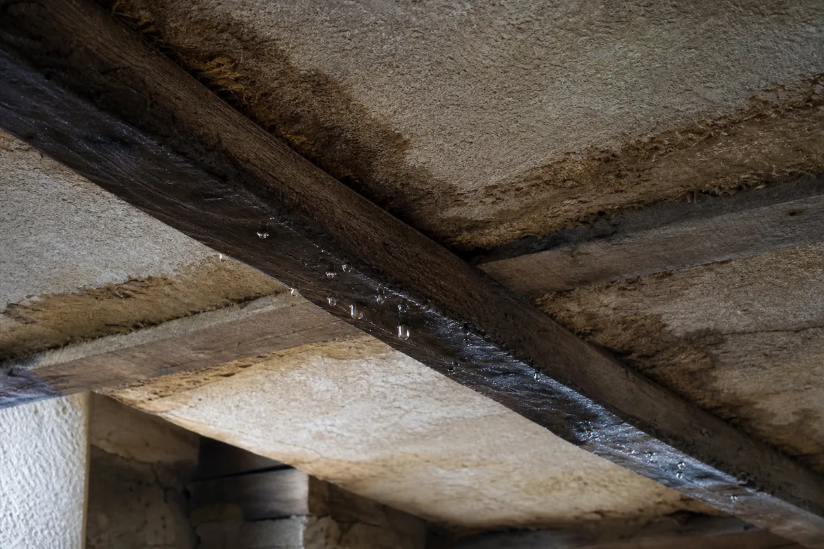 Solives en bois anciennes marquées par une infiltration d’eau dans une maison à colombages